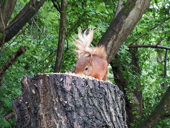 Alverstone Mead Nature Reserve